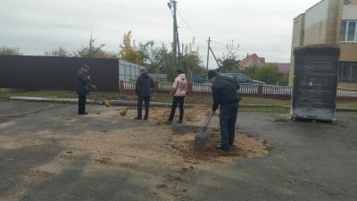 Цяпер і ў Шаркаўшчыне падхапілі ініцыятыву  прыцягваць былых зняволеных да дабраахвотна-прымусовай працы &quot;на карысць горада&quot;