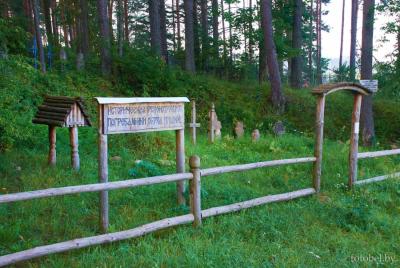 Могілкі каля вёскі Шэвіна «зарастаюць» смеццем. Між тым, яны – унікальныя